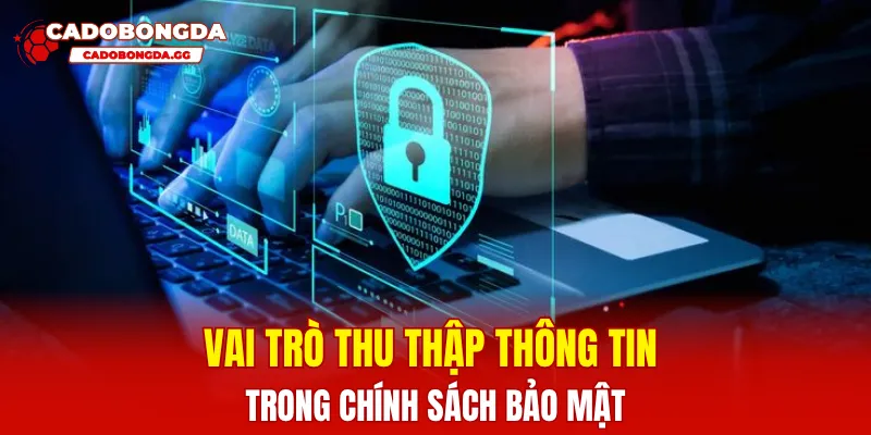 Vai trò thu thập thông tin trong chính sách bảo mật