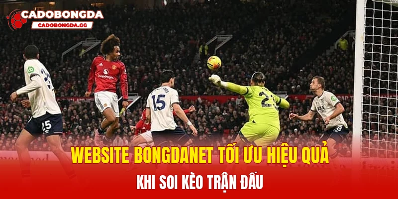 Website Bongdanet tối ưu hiệu quả khi soi kèo trận đấu