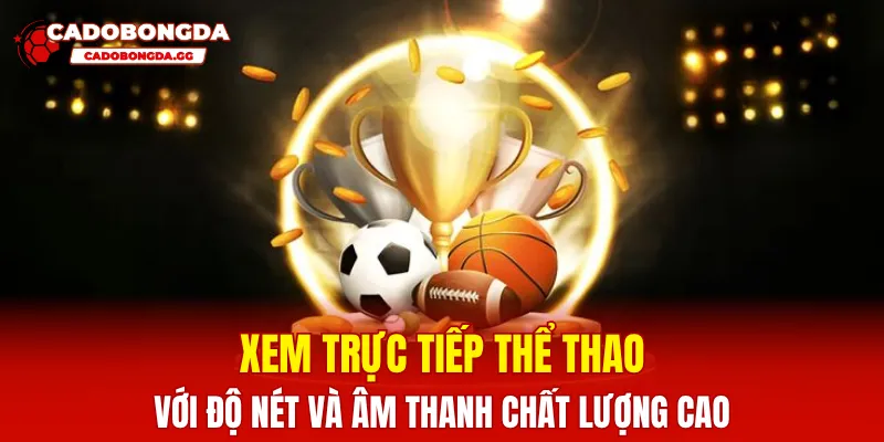Xem trực tiếp thể thao với độ nét và âm thanh chất lượng cao