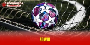 Zowin